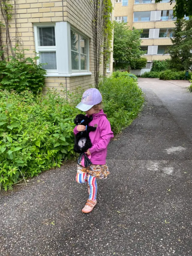 Kuura Joonatan Leijonamieli 1 vuotta🥳🎈 mikä mainio karvapallo tämä onkaan.