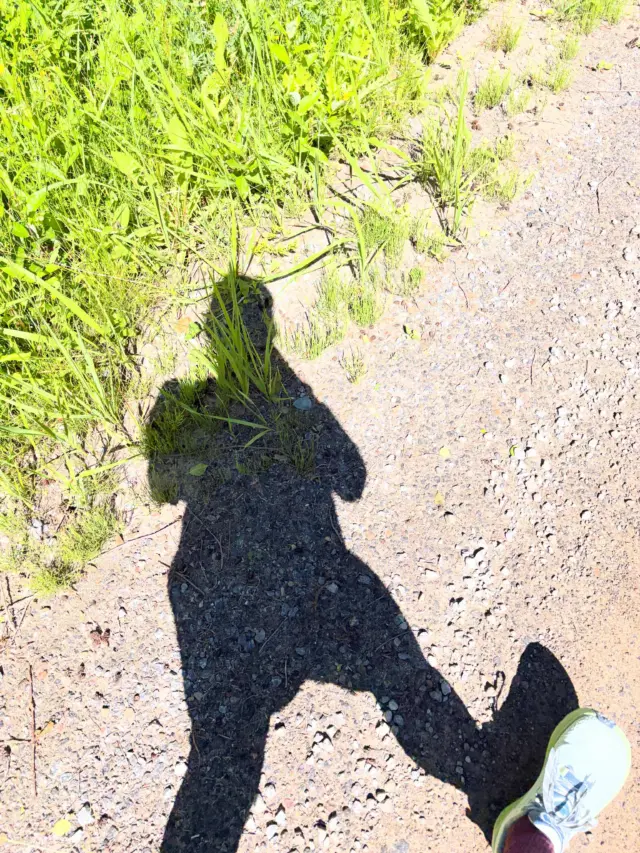 Vielä ei edes lomaa mutta mökkikupla jo aika täydellinen. Kiitos @bookbeat.fi ja metsätiet ja uudet @altrarunning_europe ja vielä @xeroshoeseu jotka nappaa jalkaan kuin nakutettu✨🫶🏻 Kellon mukaan 7 päivässä tullut 77 km
